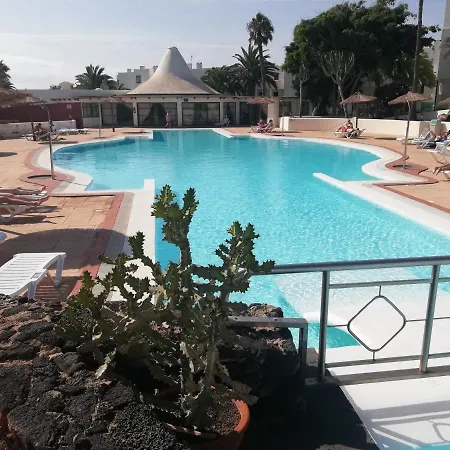 Dino 10 Playa Roca Daire